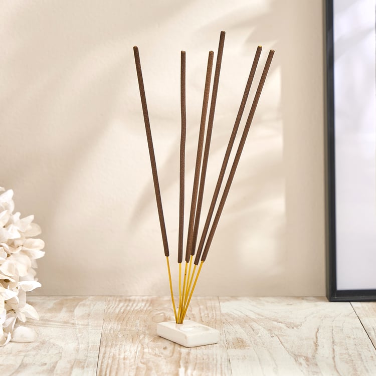 Essentials Core 30Pcs Lemongrass Scented Incense and Cones Set with Holder