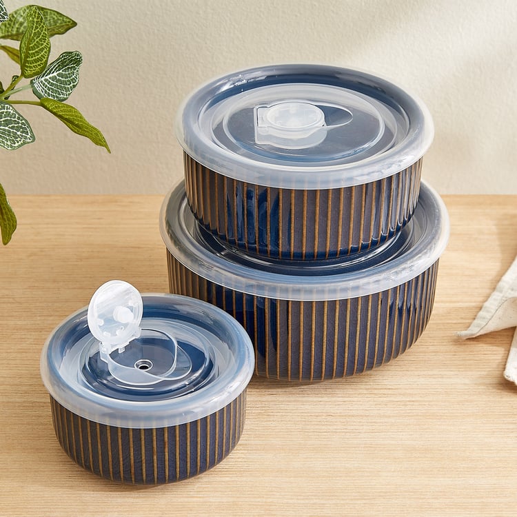 Caraway Somber Set of 3 Stoneware Striped Bowls with Vented Lid