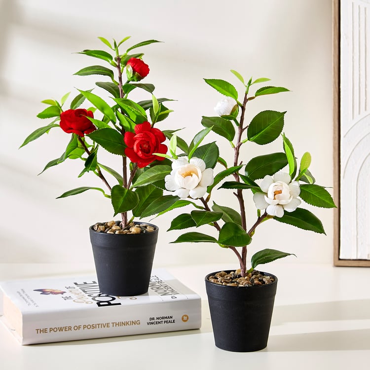 Corsica Gloria Artificial Camellia Plant in Pot