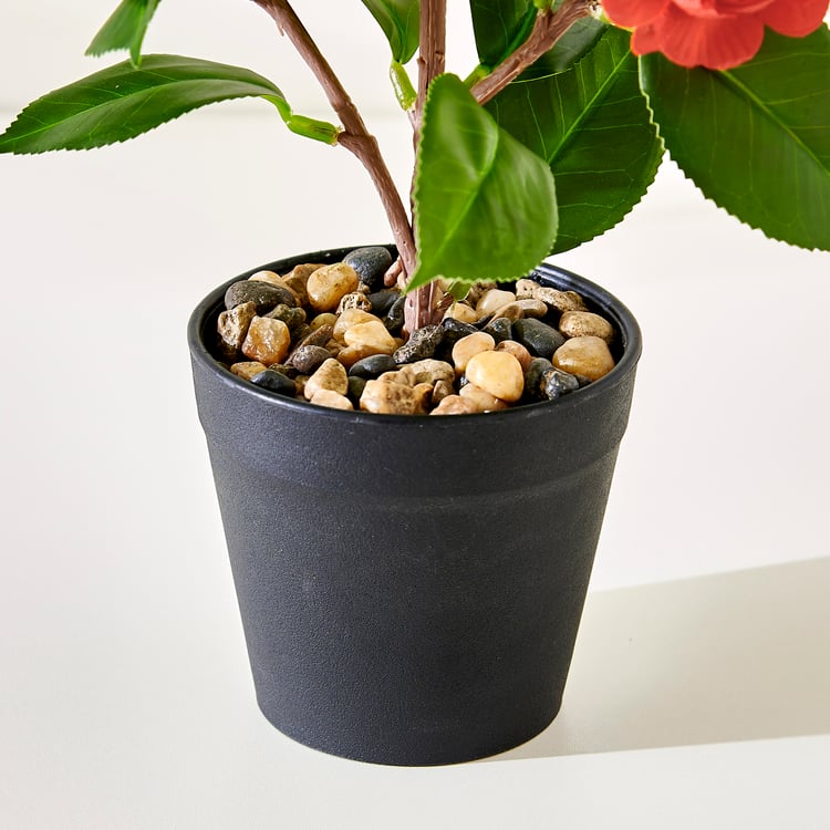 Corsica Gloria Artificial Camellia Plant in Pot