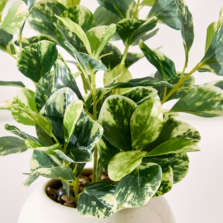 Corsica Gloria Artificial Coin Plant in Ceramic Pot