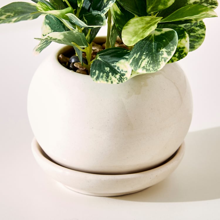 Corsica Gloria Artificial Coin Plant in Ceramic Pot