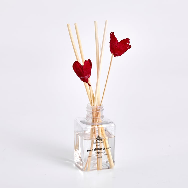 Corsica Gilded Cranberry Reed Diffuser Set