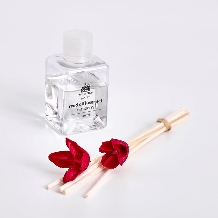 Corsica Gilded Cranberry Reed Diffuser Set