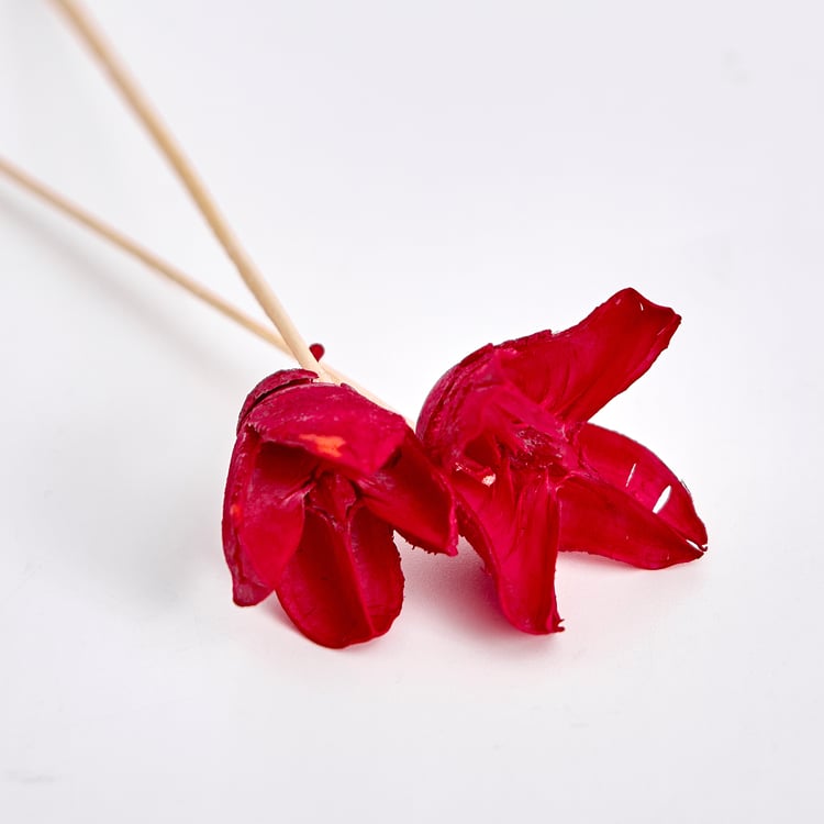 Corsica Gilded Cranberry Reed Diffuser Set