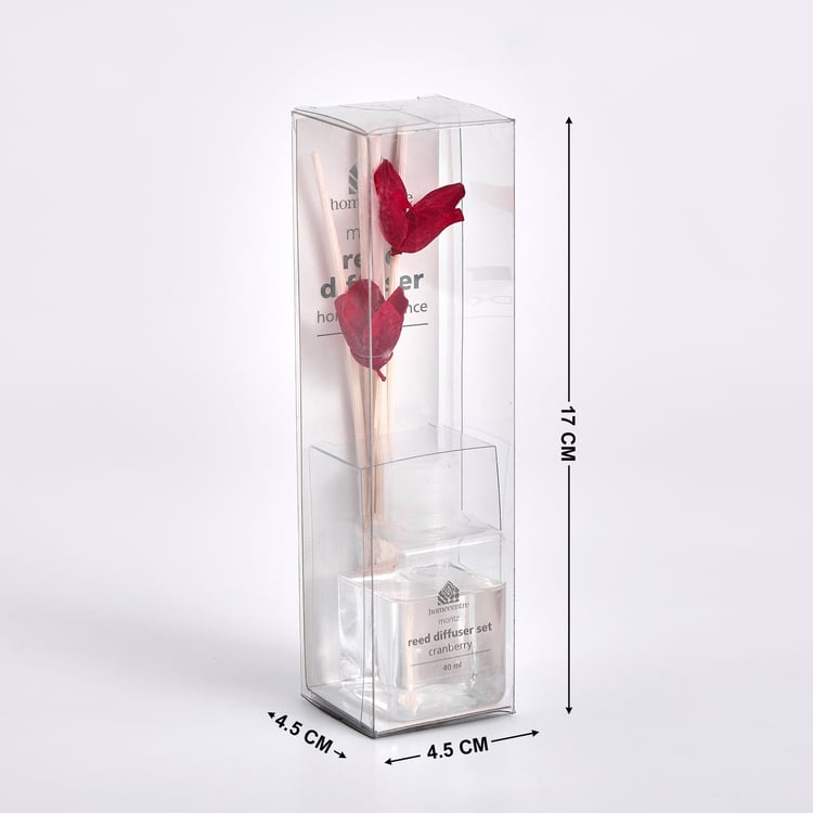 Corsica Gilded Cranberry Reed Diffuser Set