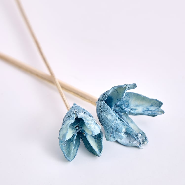 Corsica Ocean Reed Diffuser Set