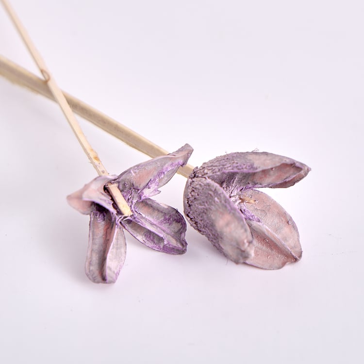 Corsica Lavender Reed Diffuser Set