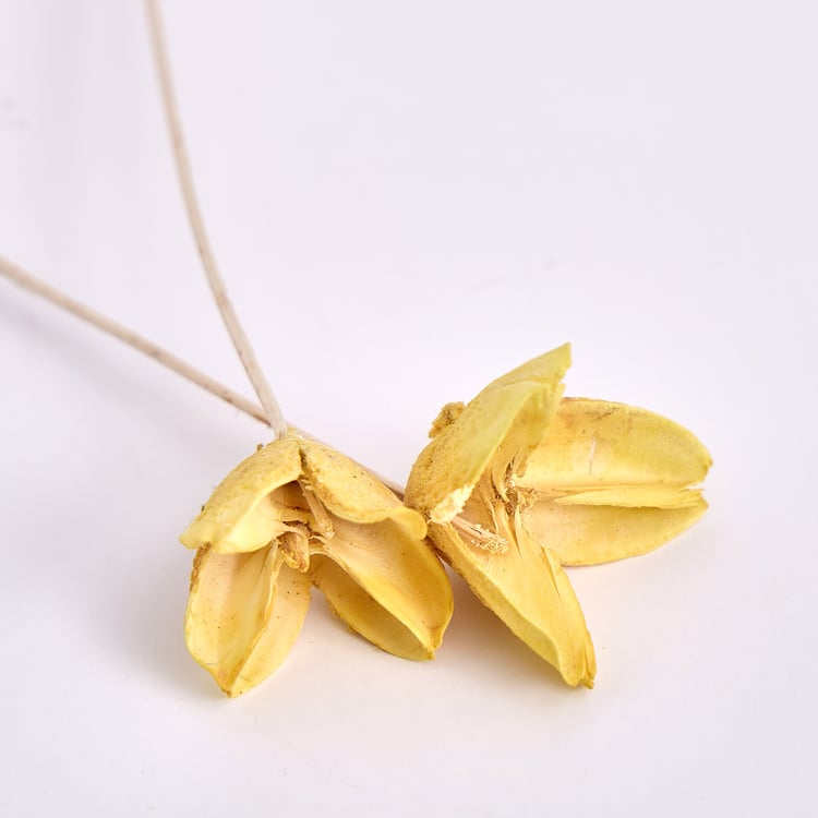 Corsica Lemongrass Reed Diffuser Set