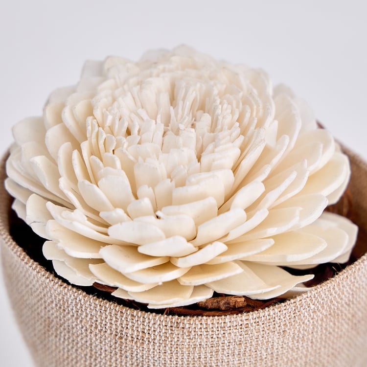 Lets Garden Cedar Dried Flower Bouquet