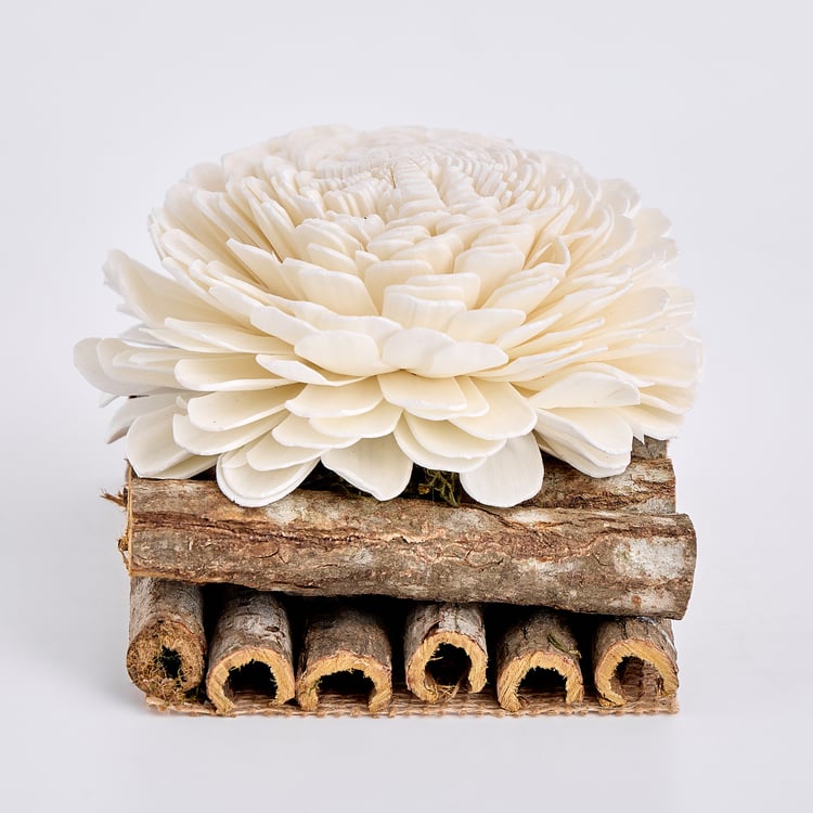 Lets Garden Cedar Dried Flower on Log