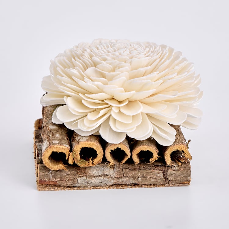 Lets Garden Cedar Dried Flower on Log