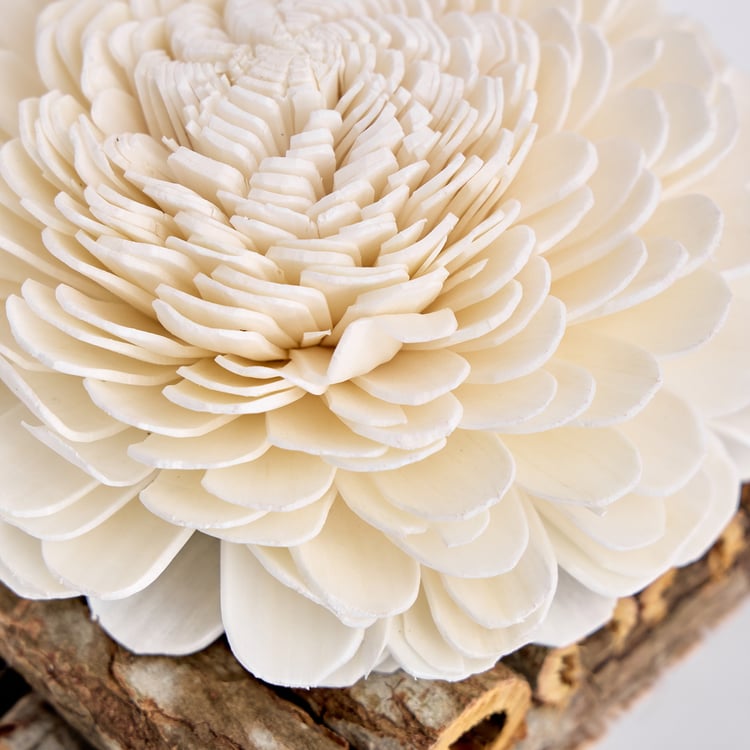 Lets Garden Cedar Dried Flower on Log