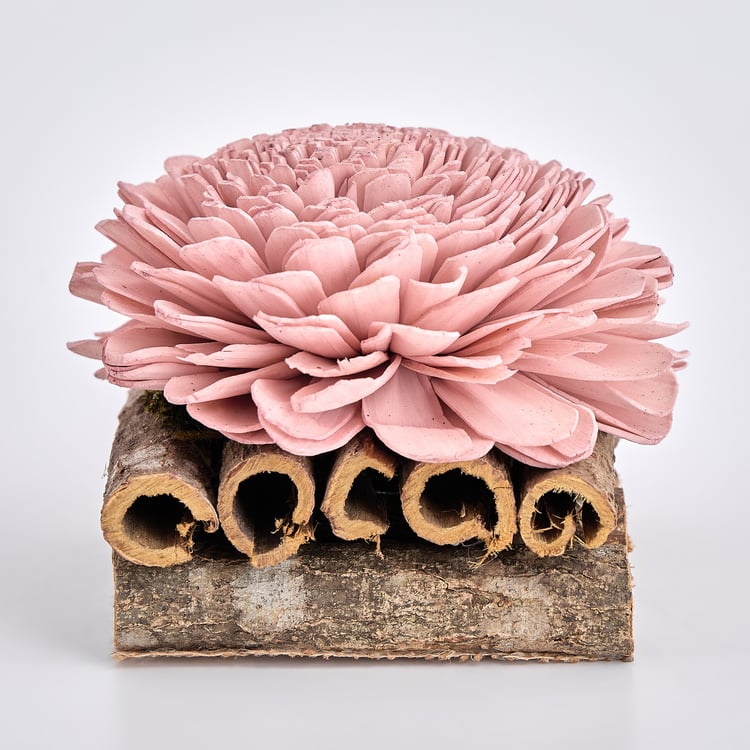 Lets Garden Cedar Dried Sola Flower on Log