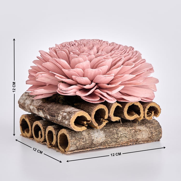 Lets Garden Cedar Dried Sola Flower on Log