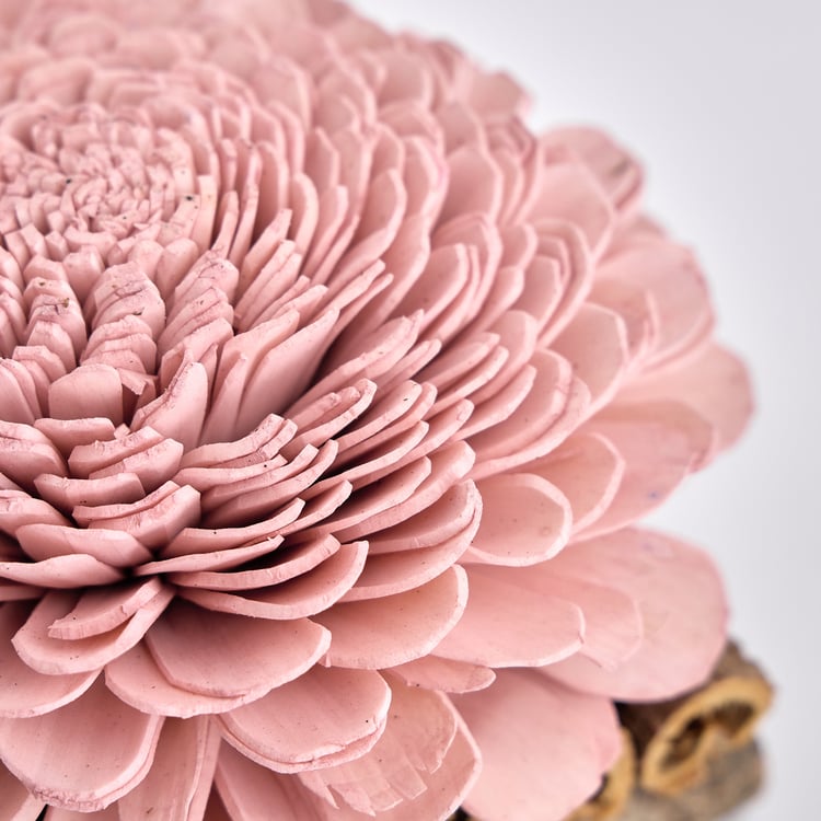Lets Garden Cedar Dried Sola Flower on Log
