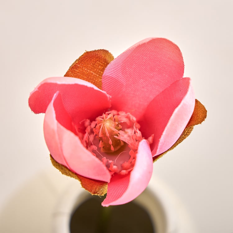 Botanical Petra Artificial Magnolia Stick - 25cm