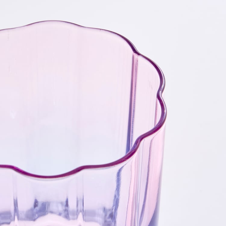 Wexford Trendy Ombre Flower Set of 4 Dof Glasses - 340ml