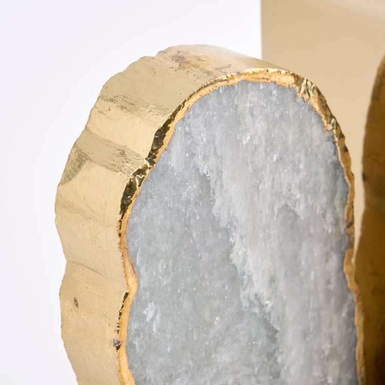 Stoneage Gills Agate Bookend