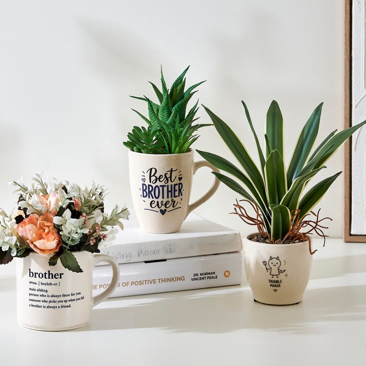 Bandhan Terra Dracaena Plant in Ceramic Pot