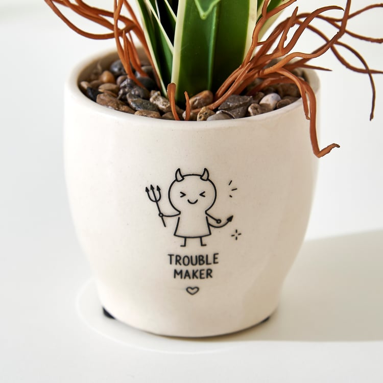 Bandhan Terra Dracaena Plant in Ceramic Pot