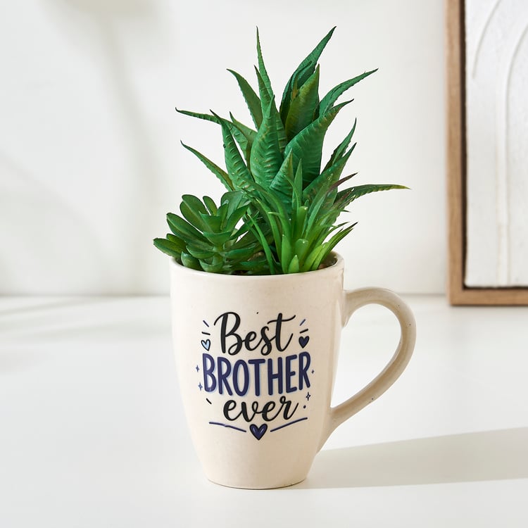 Bandhan Terra Succulents Plant in Ceramic Pot