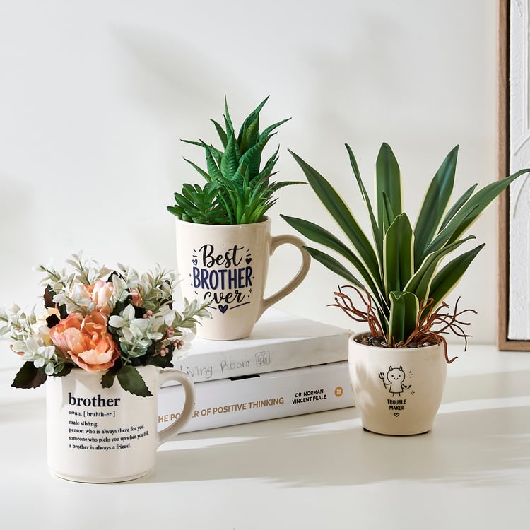 Bandhan Terra Succulents Plant in Ceramic Pot