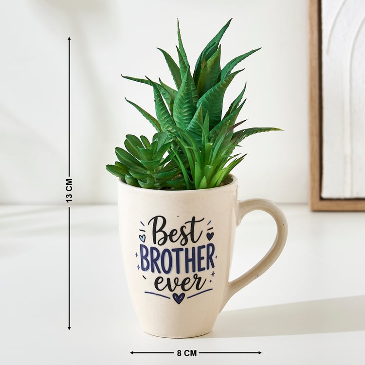 Bandhan Terra Succulents Plant in Ceramic Pot