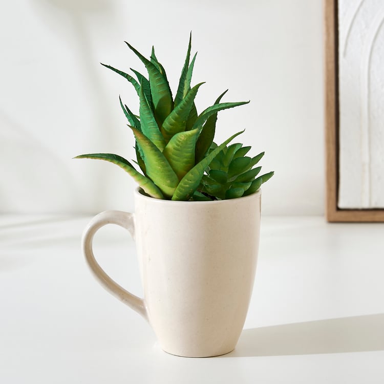 Bandhan Terra Succulents Plant in Ceramic Pot