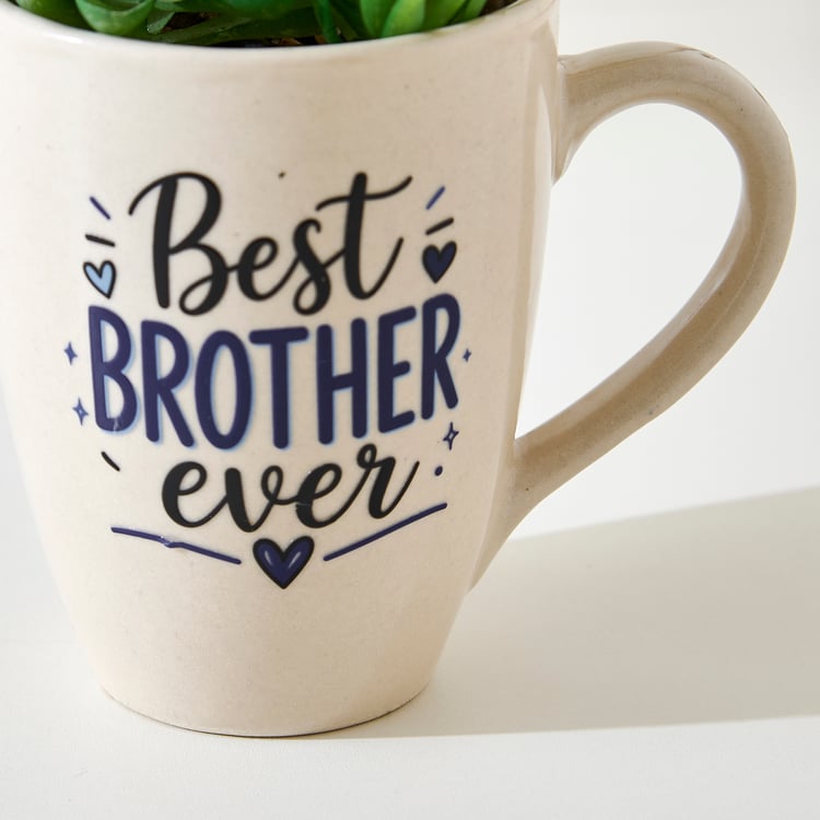 Bandhan Terra Succulents Plant in Ceramic Pot