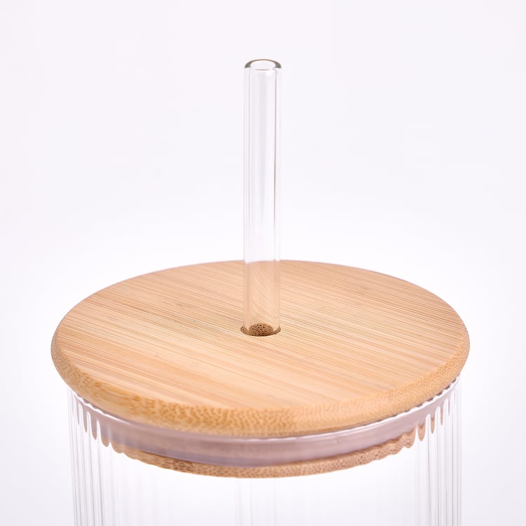 Infinity Festive Quench Borosilicate Glass Tumbler with Lid and Straw - 750ml