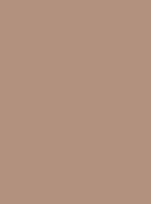FACES CANADA Ultimepro HD Cover up Concealer - Caramel Crunch 03 - 4.5ml