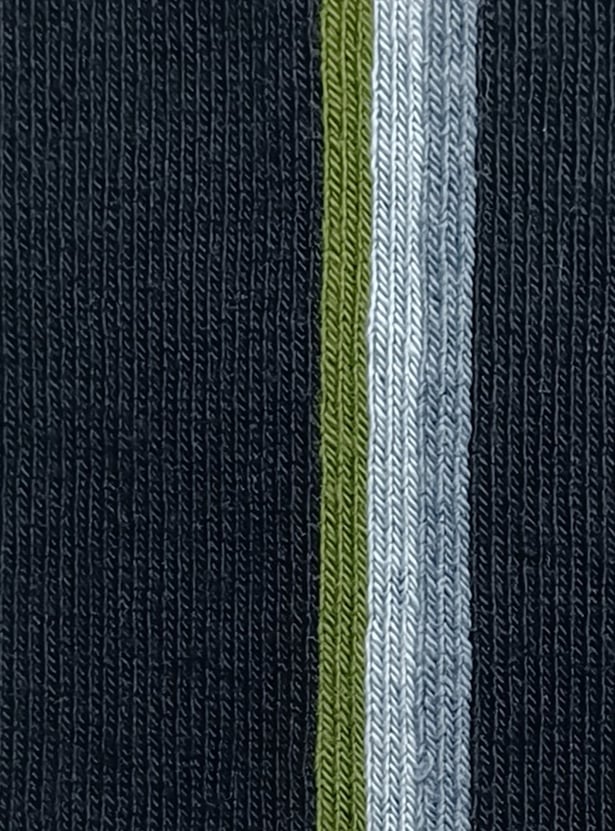 VAN HEUSEN Men Striped Crew-Length Socks