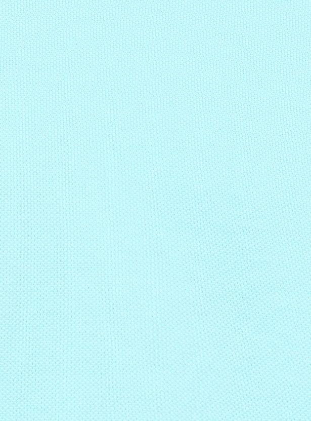 US POLO ASSN Solid Polo T-shirt