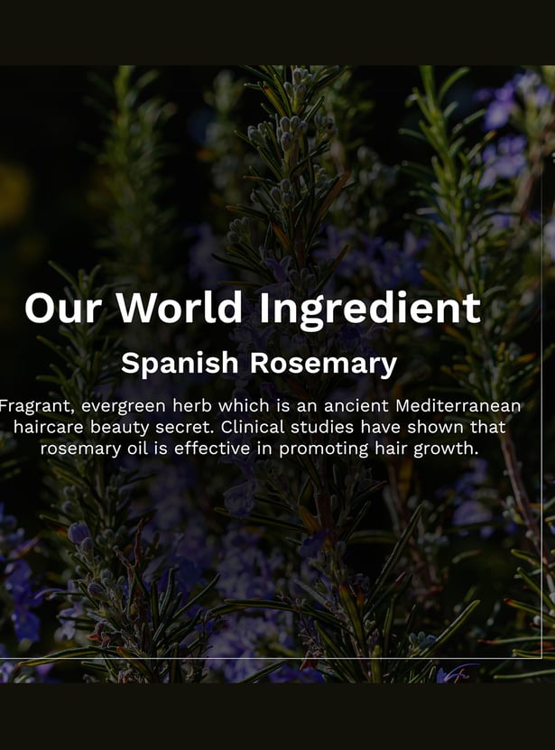 PILGRIM Spanish Rosemary Anti-Hair Fall Shampoo - 200ml