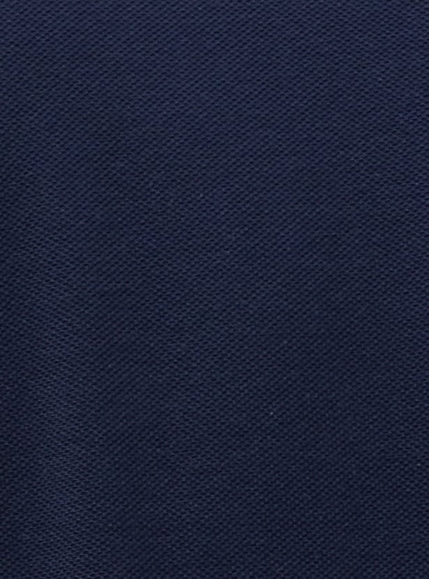 FAME FOREVER Colourblock Polo T-shirt