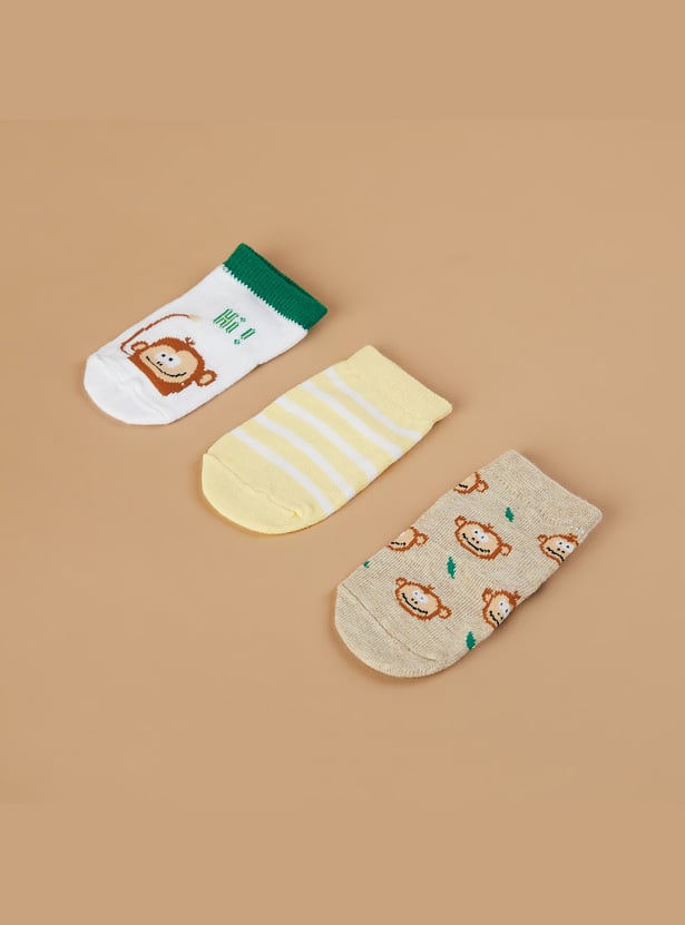 FAME FOREVER Assorted No Show Socks - Pack of 3
