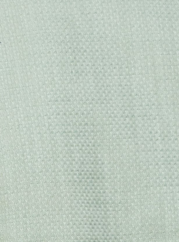 INDIAN TERRAIN Textured Chiselled Shirt (Slim Fit)