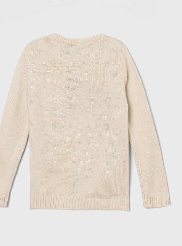 JUNIORS Boys Chenille Embroidered Sweater