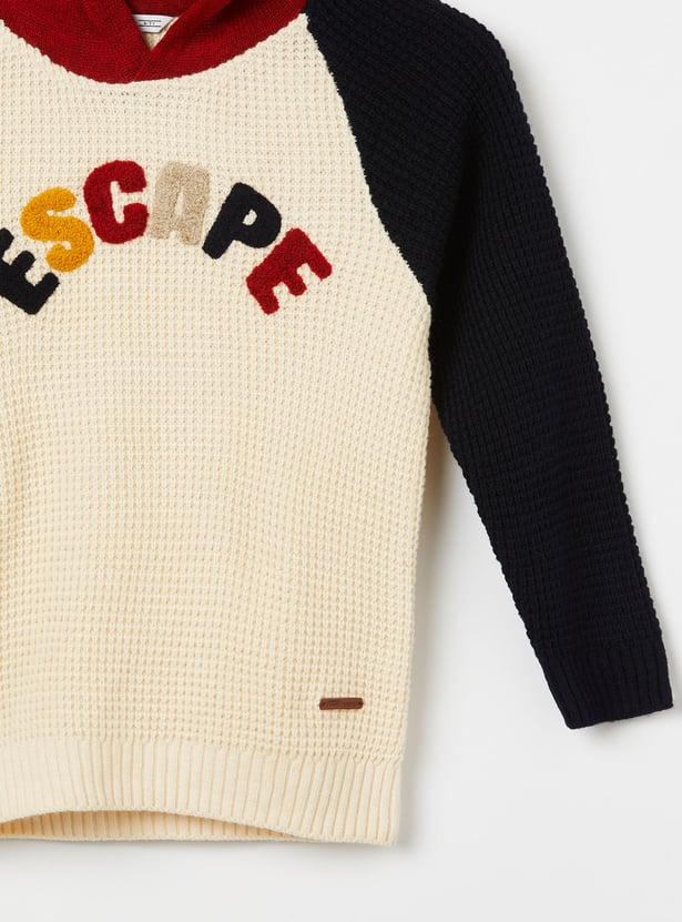 FAME FOREVER Boys Colourblock Hooded Sweater