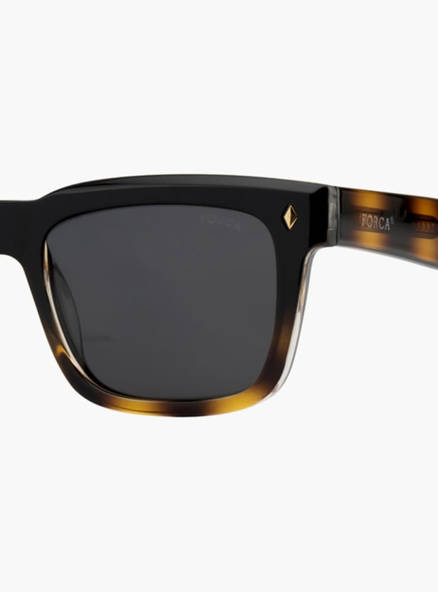 FORCA Polarized Wayfarer Sunglasses - FR-SQ-1237-C01