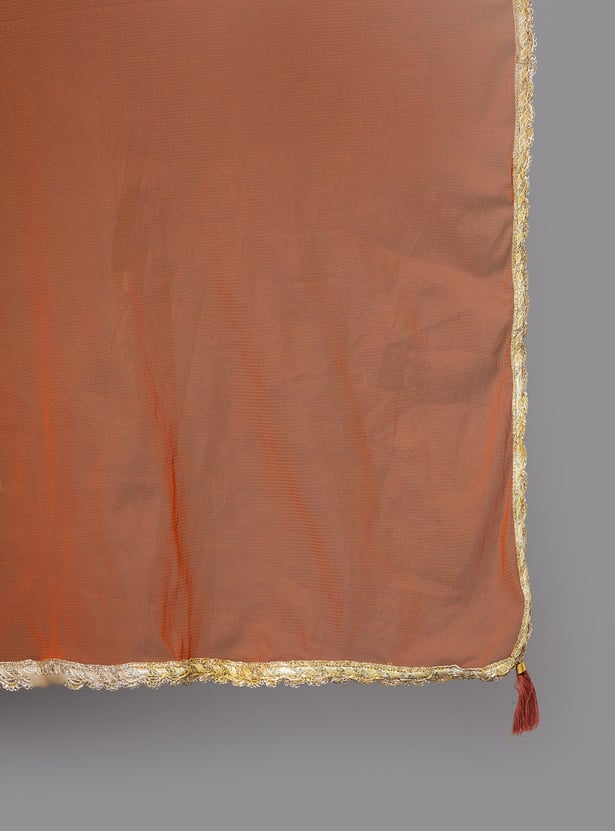 SPAN Embellished Net Dupatta