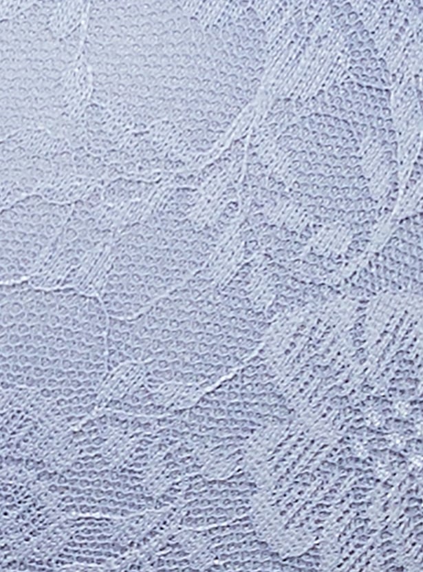 AMANTE Lace Padded Non-Wired Seamed T-shirt Bra