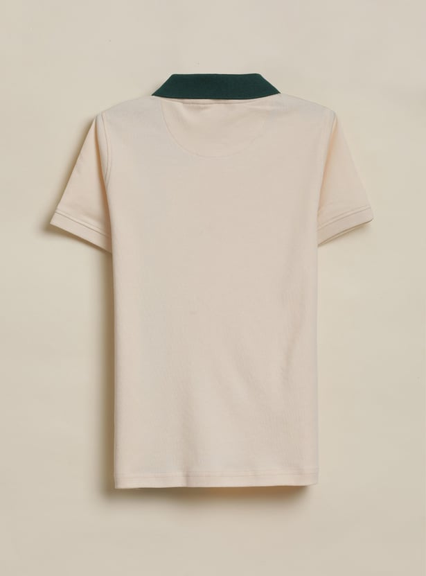 ALLEN SOLLY Boys Striped Polo T-shirt