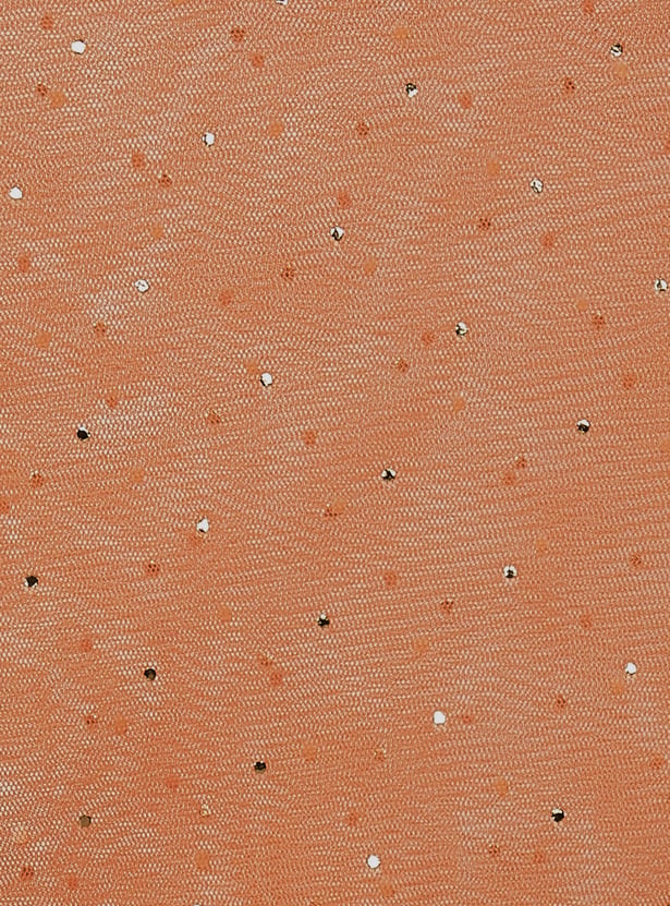 MELANGE Embellished Dupatta