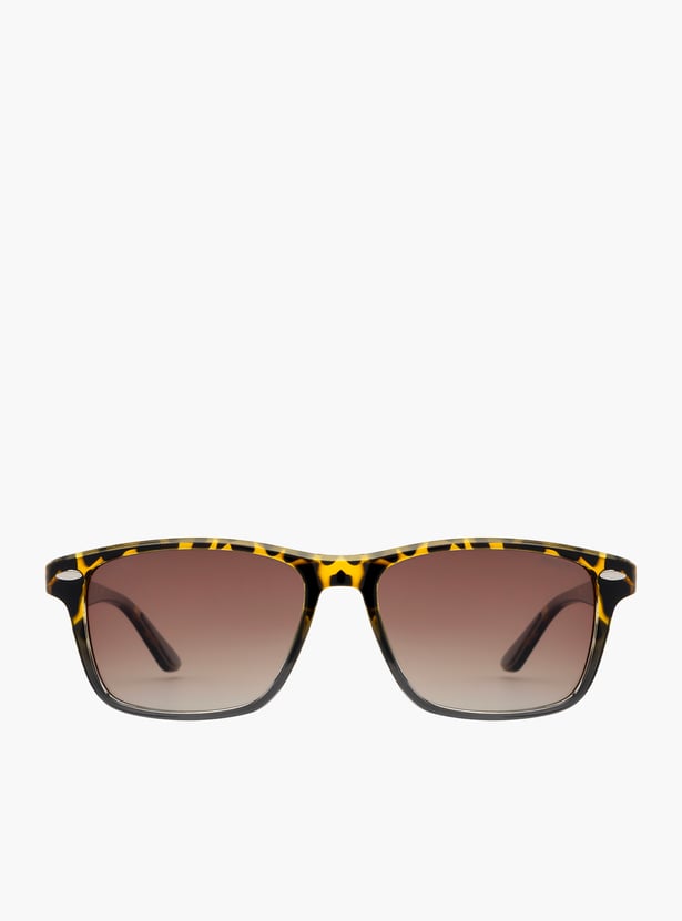 FORCA Polarised Wayfarer Sunglasses - FR-SQ-1329-C02