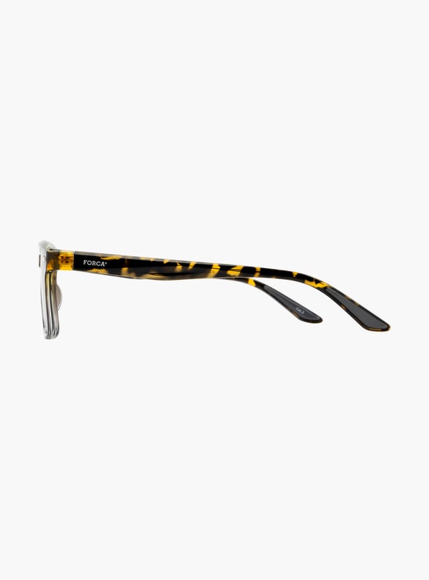 FORCA Polarised Wayfarer Sunglasses - FR-SQ-1329-C02