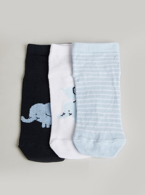 FAME FOREVER Boys Knitted Ankle Length Socks - Pack of 3