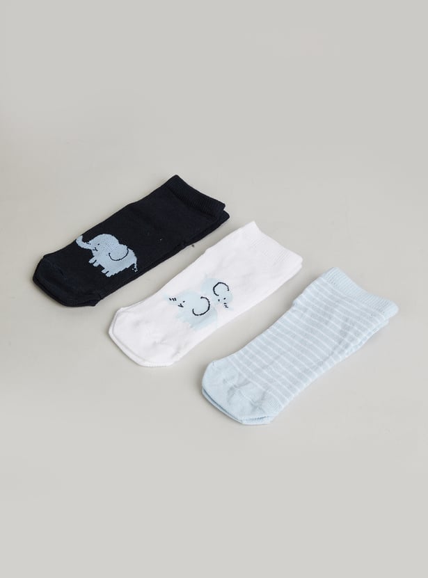 FAME FOREVER Boys Knitted Ankle Length Socks - Pack of 3