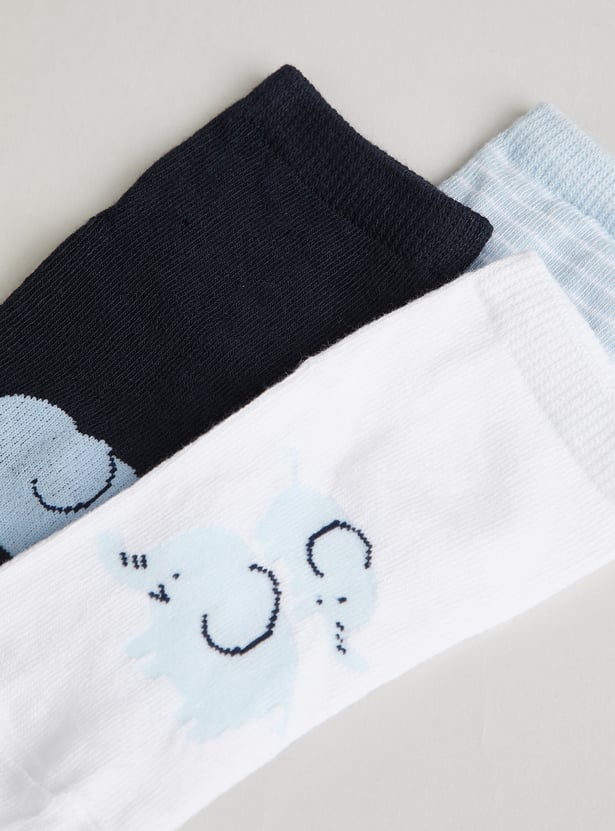 FAME FOREVER Boys Knitted Ankle Length Socks - Pack of 3